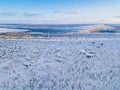 Aerial view of winter forest with frosty trees, rural road and village in Finland Royalty Free Stock Photo