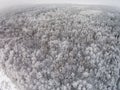 Aerial view of winter forest with hoarfrost on the trees Royalty Free Stock Photo