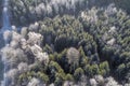 Aerial view of winter forest with hoarfrost on the trees - drone`s view, Germany Royalty Free Stock Photo
