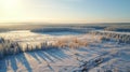 Aerial View Winter Forest In Turbina, Russia - Uhd Stock Photo