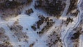 Aerial view of winter pine forest and snow path on a sunny day. Action. Flying over the panoramic view of the snow Royalty Free Stock Photo