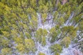 Aerial view of a winter pine forest. Top view of snow-covered pine trees. Beautiful winter forest landscape Royalty Free Stock Photo
