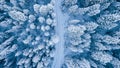Aerial view of winter road and snow covered trees by forest in mountains. Royalty Free Stock Photo