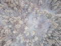 Aerial view of a winter snow-covered pine forest. Aerial drone view of a winter landscape. Snow covered forest Royalty Free Stock Photo