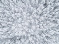 Aerial view of a winter snow-covered pine forest. Winter forest texture. Aerial view. Aerial drone view of a winter landscape. Sno Royalty Free Stock Photo