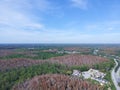 Aerial view of winter tree