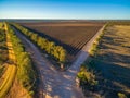 Aerial view of winter vineyard at sunset. Royalty Free Stock Photo