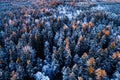 An aerial view on winter wonderland snowy boreal coniferous forest