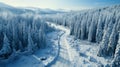 Aerial view of winter woods, snowy winding road in forest. Landscape with path, snow, trees and sky. Concept of nature, travel,
