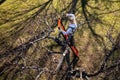 Aerial view of a woman pruning fruit trees in her garden from a ladder. Springtime gardening jobs. Royalty Free Stock Photo