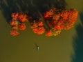 Aerial view with woman on stand up paddle board with autumnal trees in water. Top view Royalty Free Stock Photo