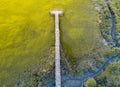 Aerial view of wooden bridge over a swamp Royalty Free Stock Photo