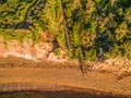 Aerial view of wooden staircase. Royalty Free Stock Photo