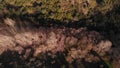 Aerial view of the woods. Flight over the trees . Flying over the top of trees .Flight over river. Cazalla de la Sierra.