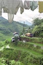 Aerial view of world famous rice terraces, Banaue