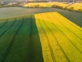 Aerial view of yellow canola and green grain fields Royalty Free Stock Photo