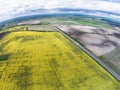 Aerial View Of The Yellow Field With And Road