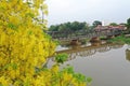 Aerial view Yellow flowers and The Old Iron Bridge with Ping River in Chiangmai, Thailand. Royalty Free Stock Photo