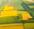 Aerial view of yellow and green agricultural fields.