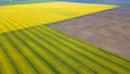 Aerial view of yellow rapeseed field. Aerial view agricultural Royalty Free Stock Photo