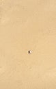 Aerial view of a young couple lying on the white sand. man and woman spend time together and travel through the desert Royalty Free Stock Photo