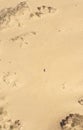 Aerial view of a young couple lying on the white sand. man and woman spend time together and travel through the desert Royalty Free Stock Photo