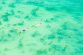 Aerial view, young couple tourists in snorkeling mask dive under Royalty Free Stock Photo