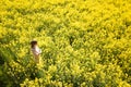 Aerial view of a young woman standing in yellow blooming rapeseed field Royalty Free Stock Photo