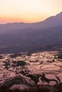 Aerial view of Yuanyang Rice Terraces at sunrise