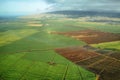 Aerial views of sugarcane crops in Maui