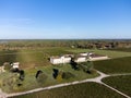 Aerial views of wine domain or chateau in Haut-Medoc red wine making region, Margaux village, Bordeaux, left bank of Gironde Royalty Free Stock Photo