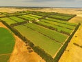 Aerial of vineyard in Coonawarra region Royalty Free Stock Photo