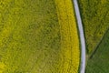 Aerial Vista of Countryside Farmlands Rapeseed Field