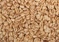 Aerial wheat grains