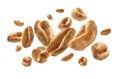 Aerial wheat levitates on a white background