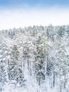 Aerial winter forest view. Drone landscape, fly above. White trees with snow, beautiful wallpaper background. High modern photogra