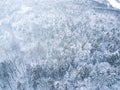 Aerial winter forest view. Drone landscape, fly above. White trees with snow, beautiful wallpaper background. High modern photogra