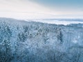 Aerial winter forest view. Drone landscape, fly above. White trees with snow, beautiful wallpaper background. High modern photogra