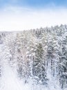 Aerial winter forest view. Drone landscape, fly above. White trees with snow, beautiful wallpaper background. High photogra