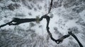 Aerial winter landscape. Tiny river between snowy forest