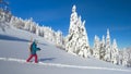 AERIAL: Young woman on snowboarding trip in the Alps hikes along a snowy hill. Royalty Free Stock Photo