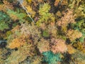 Aerialphoto of coniferous and deciduous forests, pine, fir, fall. Northern landscape