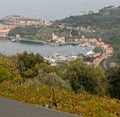 aerialview of le grazie a little village near Portovenere Royalty Free Stock Photo