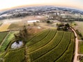 Aerialview with sunrise with farm fields and fog