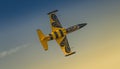 Aero L-39 Albatros jet plane, the Baltic Bees. Royalty Free Stock Photo