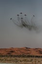 Aerobatic display over the desert