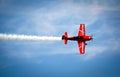 Aerobatic plane on the sky Extra 330