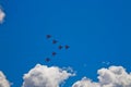 Aerobatic team `Swifts` `Strizhi`. Royalty Free Stock Photo