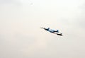 Aerobatic teams Falcons Of Russia on planes Su-27.