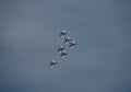 Aerobatics in the sky of Kuzbass